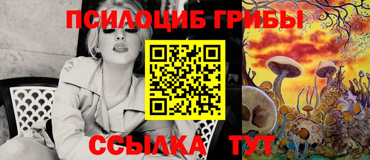 Галлюциногенные грибы Psilocybe  Вход с VPN  Таганрог 